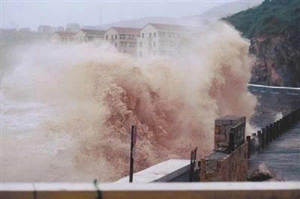 防臺風，減災害，風里雨里守護你2.jpg